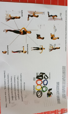 Arborlan™ Fitness Resistance Bands